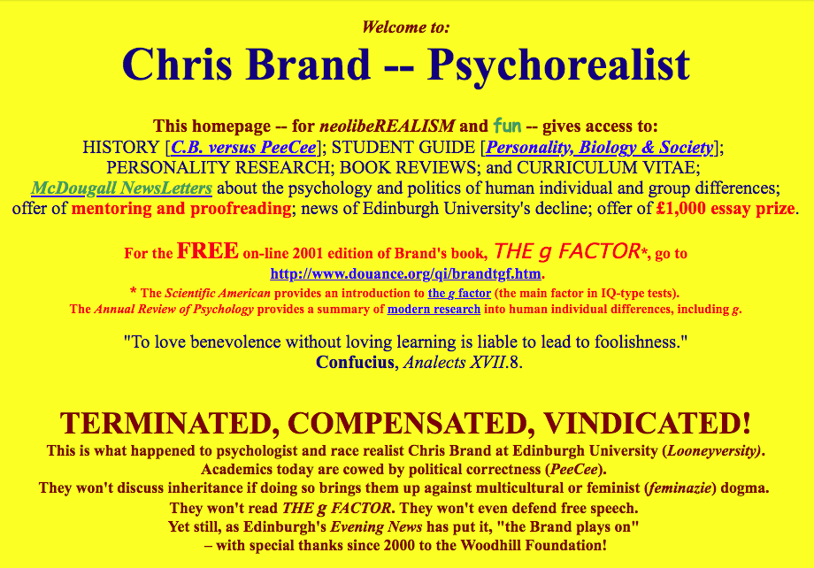 chris brand website example